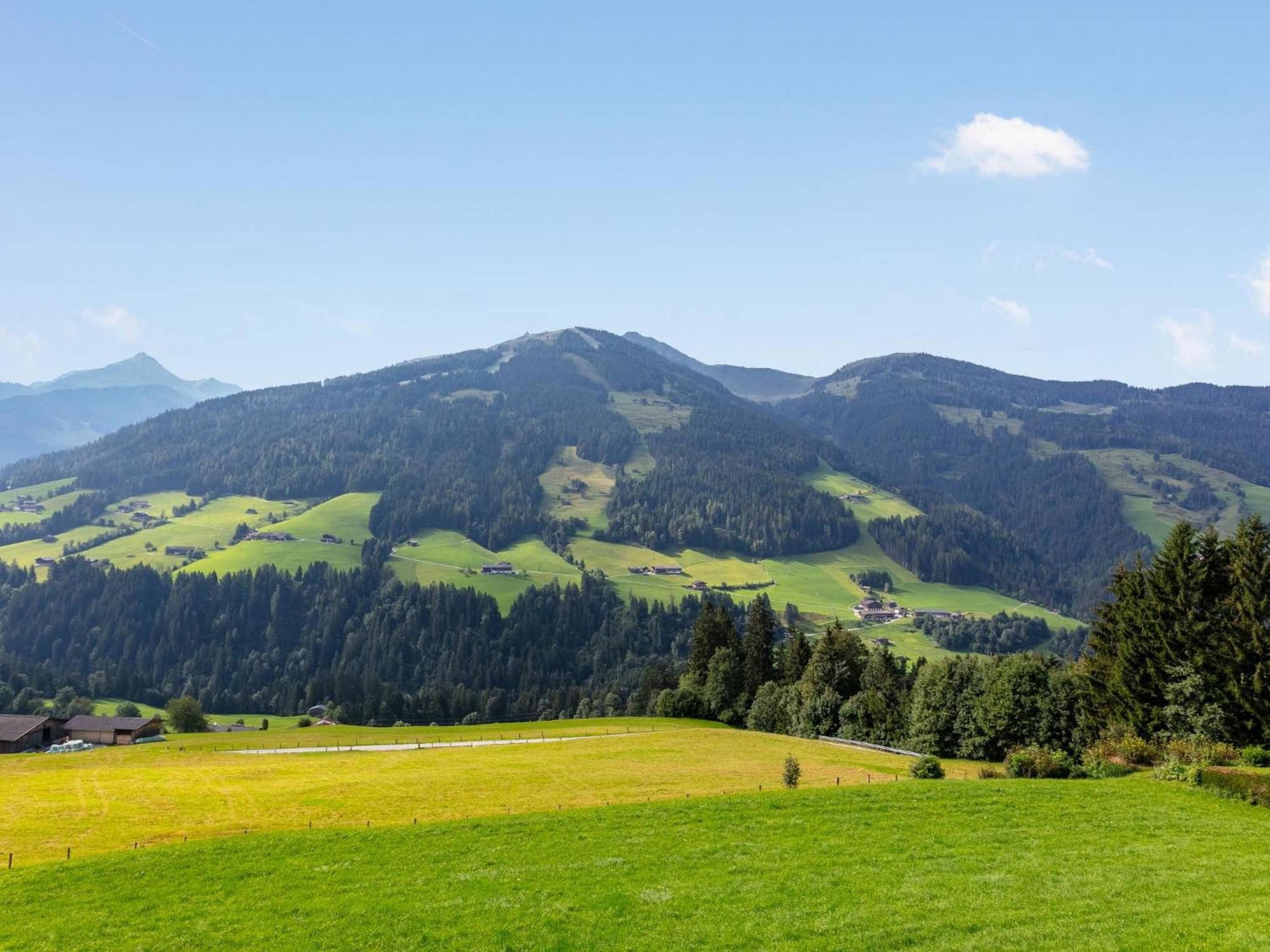 Haus Fernwald Top Rens Alpbach Eksteriør billede
