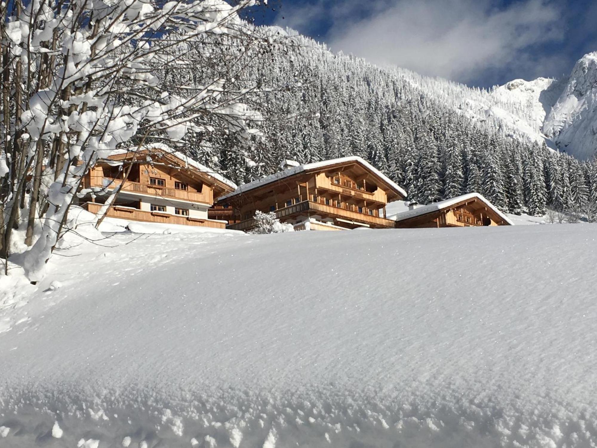 Haus Fernwald Top Rens Alpbach Eksteriør billede